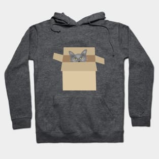 Cat in the box Hoodie